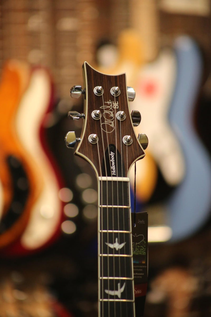 Paul Reed Smith SE Hollowbody Full-Hollow Electric Guitar - Dog Hair Smokeburst